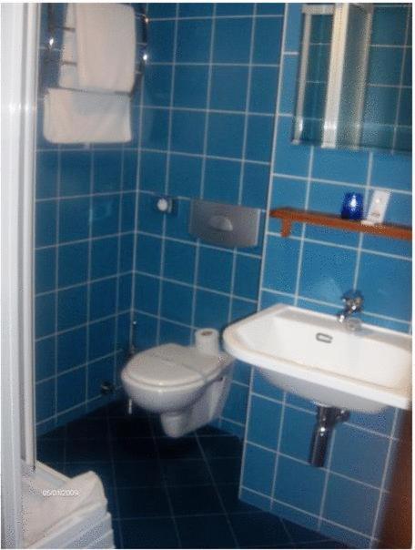 Panzio Sissi Hotell Gödöllő Eksteriør bilde
